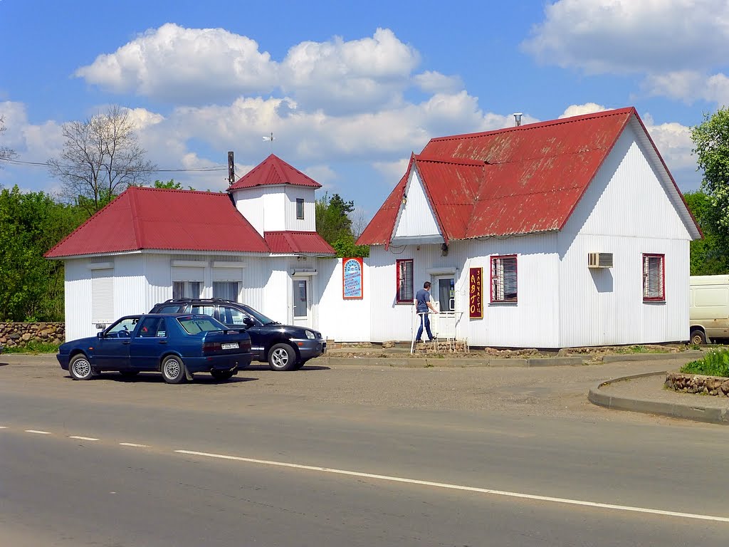Беларусь. г. Копыль. Улица Партизанская.