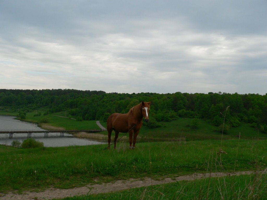 Май 2006