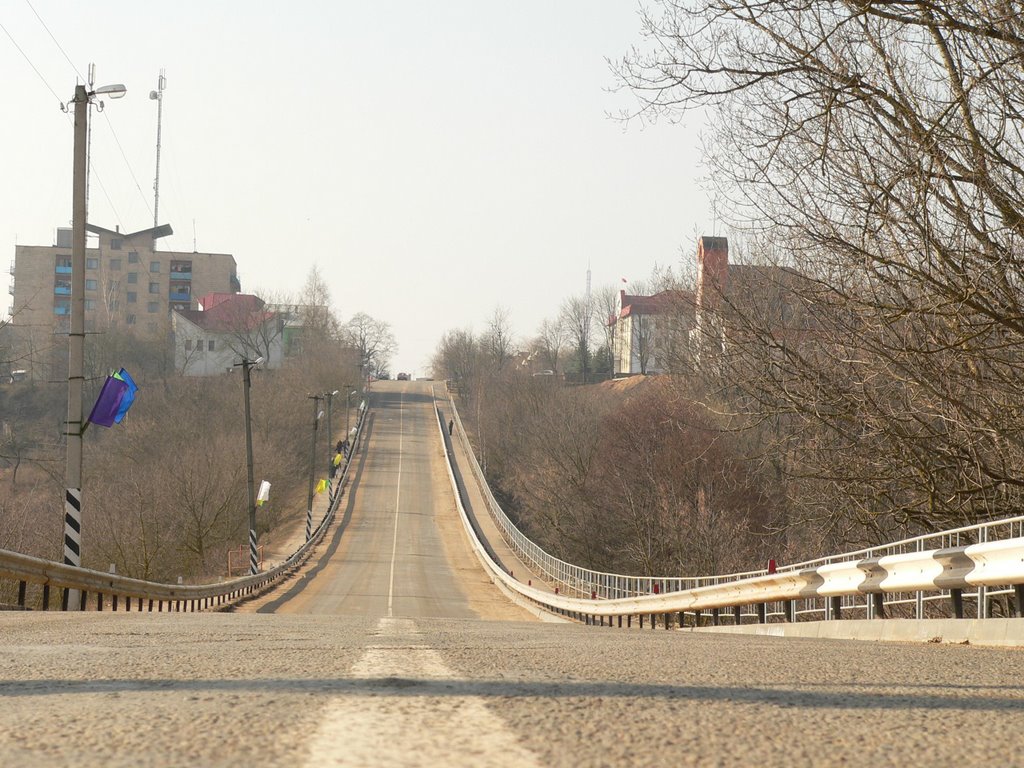 Дорога, проложенная по дамбе между прудами. 2008 год, март, 8-е...