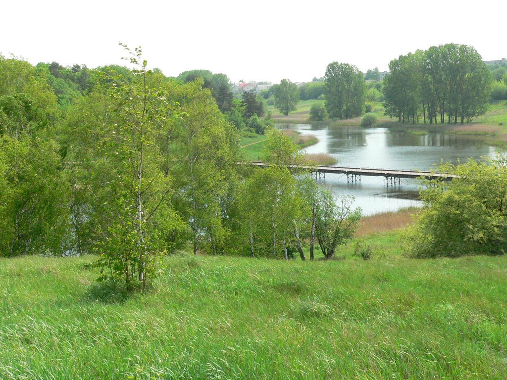 Майский ветер. 2008 год.