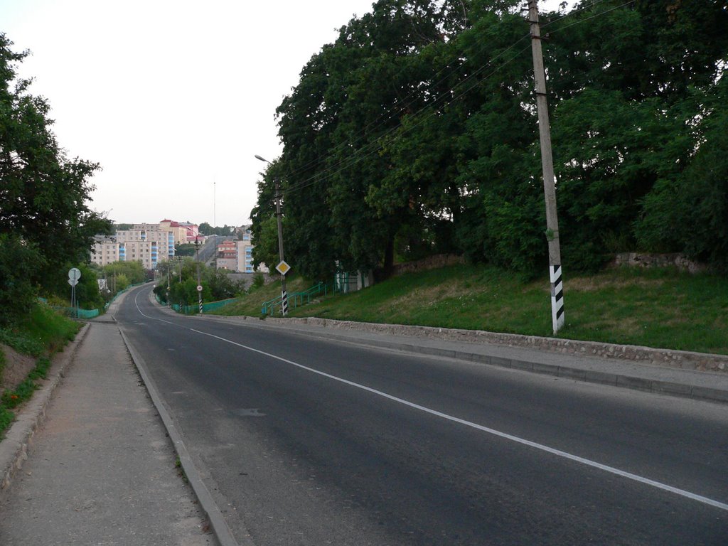 Лето 2006 года