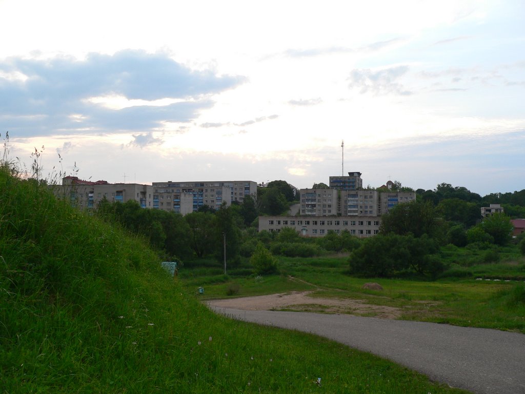 Вид от Замковой горы