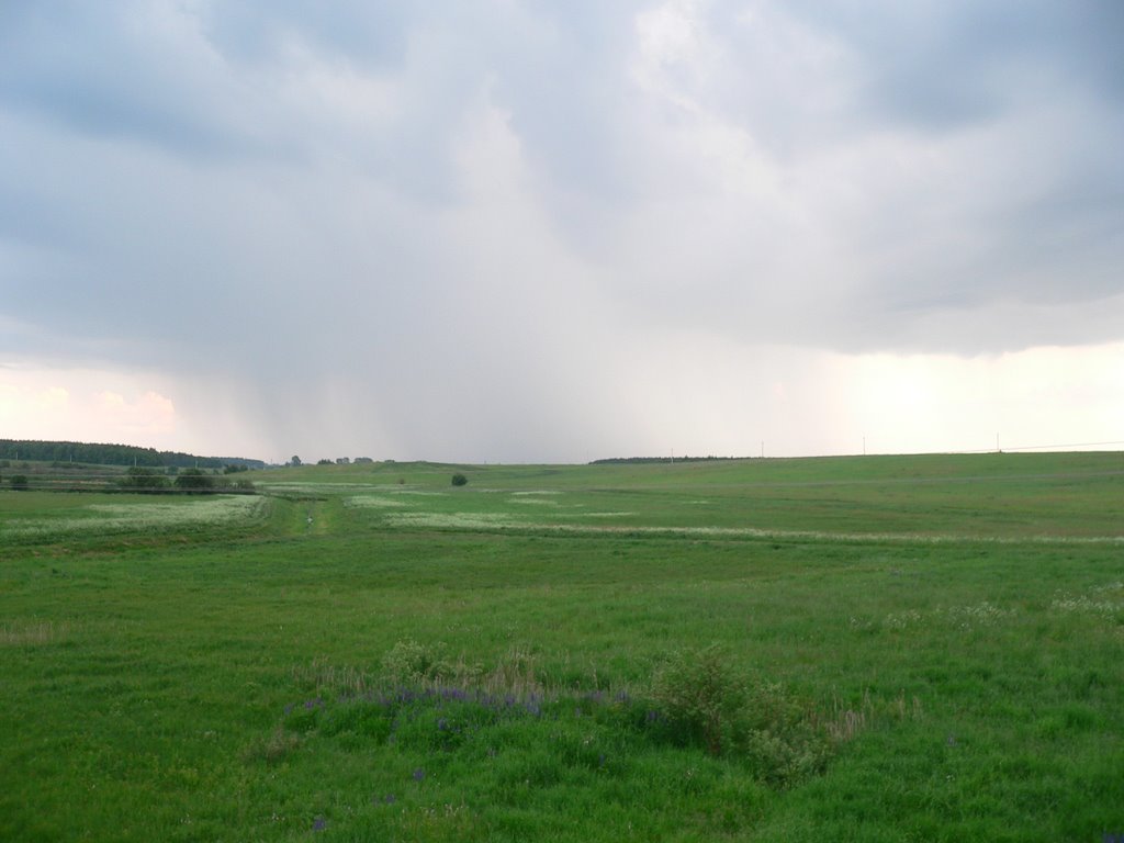 Перед грозой