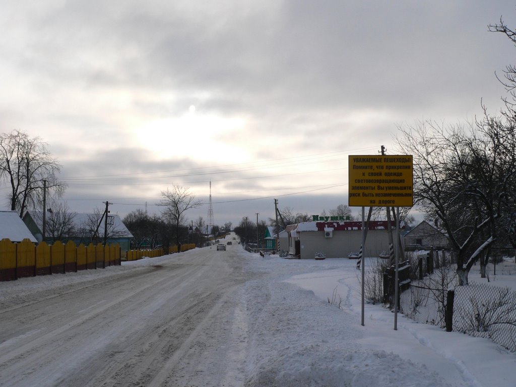 Северная окраина Копыля. Русанки.