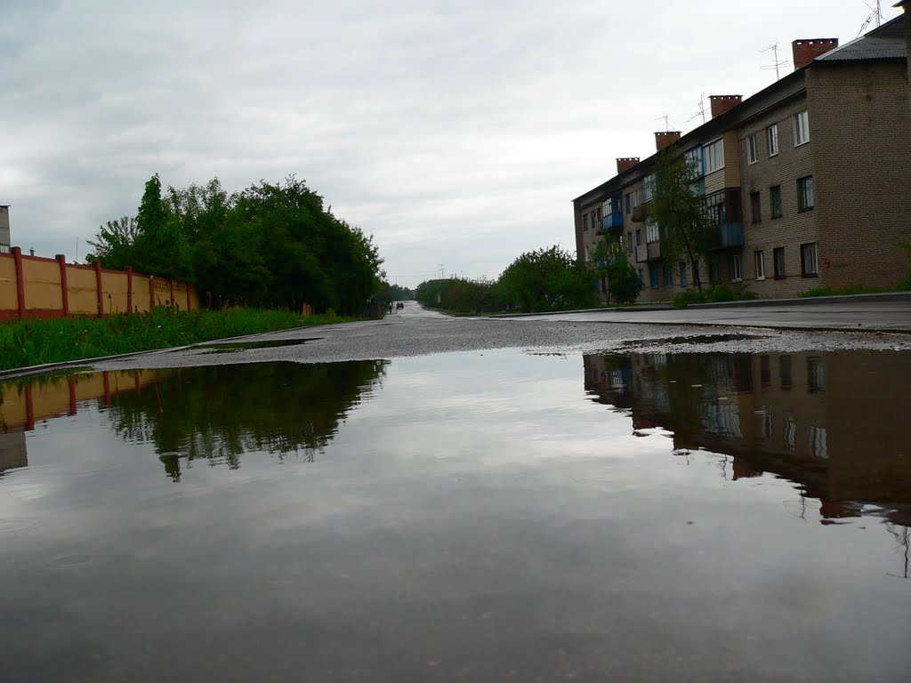 18.05.2010. Дождливый день