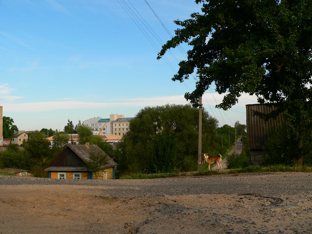 Поликлиника+Больница