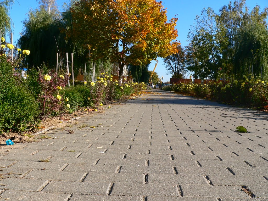 Дорожка в сквере. 9.10.10