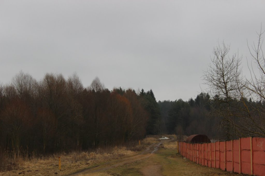 Тропинка