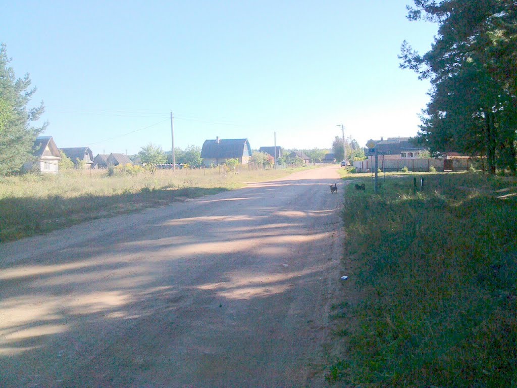 Новая Жизнь