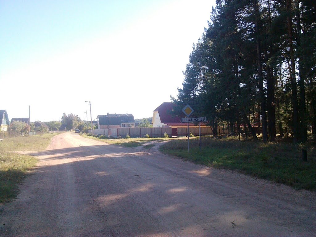 Новая Жизнь (начало населённого пункта)