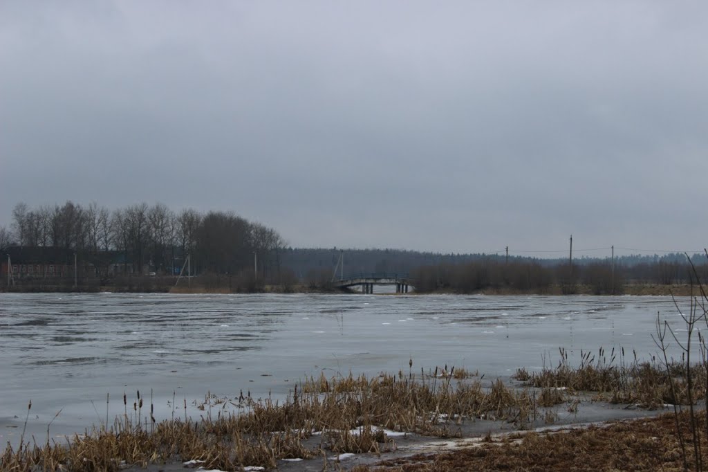Водохранилище на реке Бобр