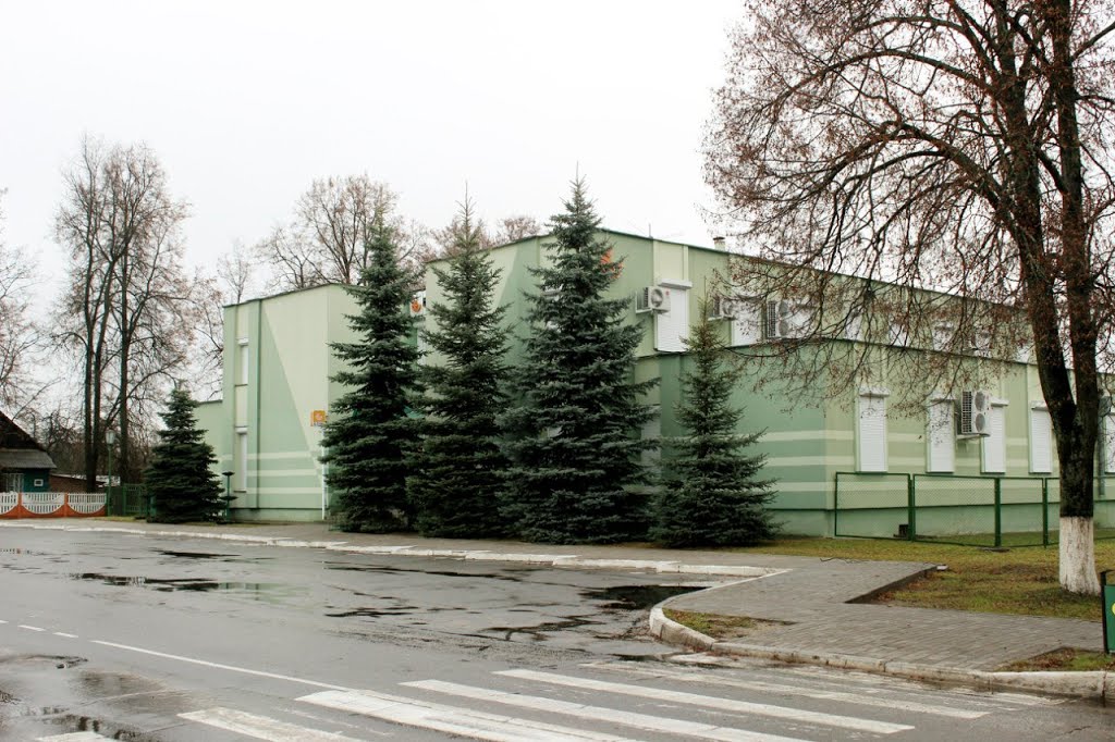 Ёлочки