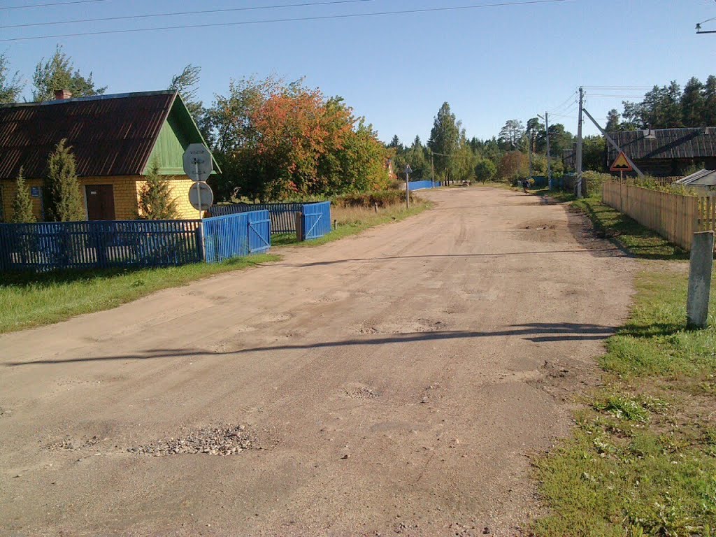 Новая Жизнь