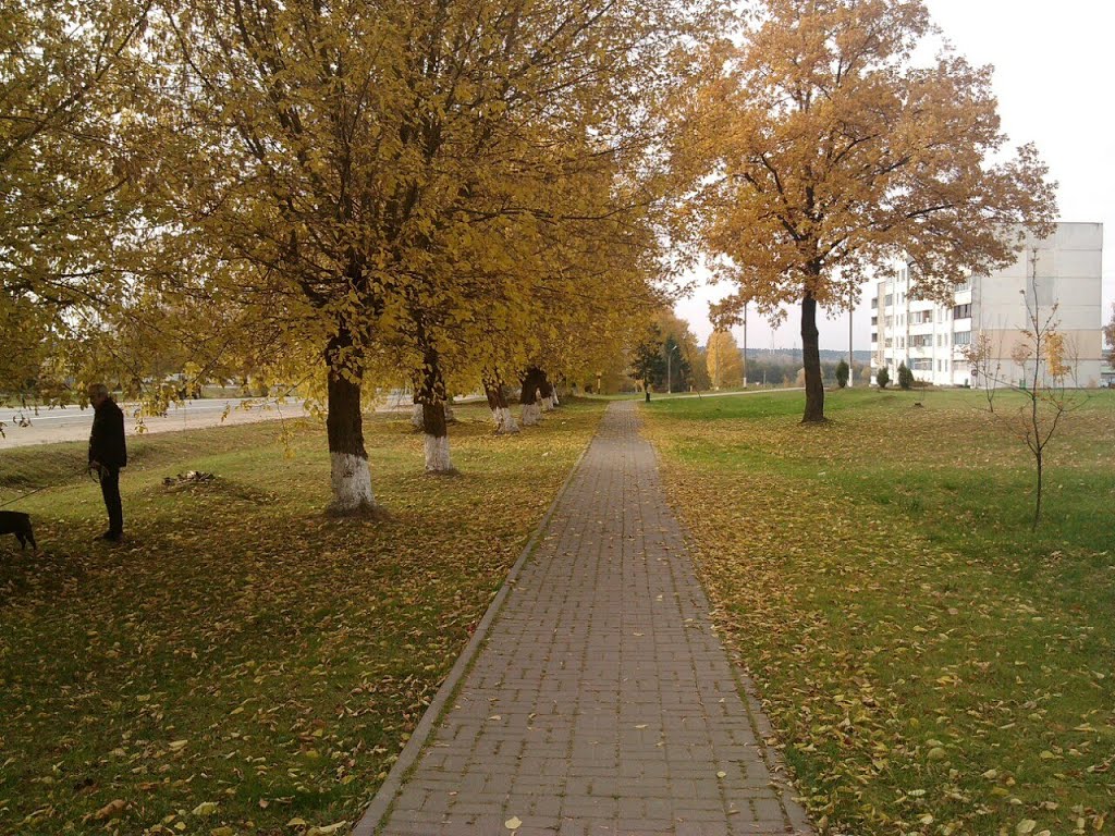 Опавшие листья
