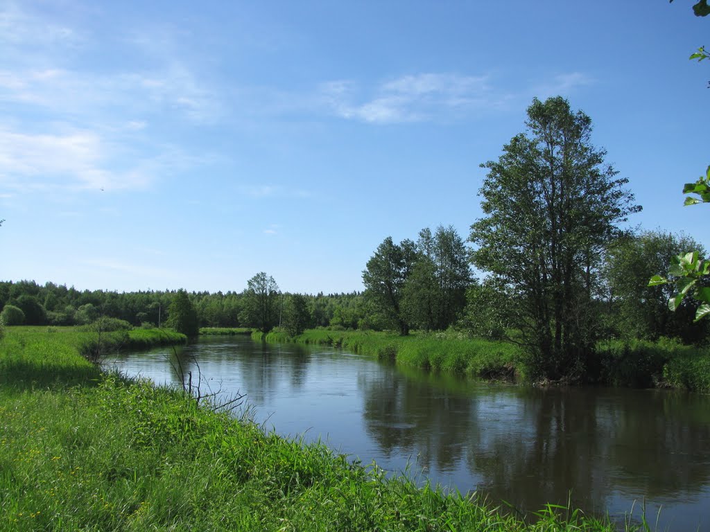 Bobr river downstream Krupki