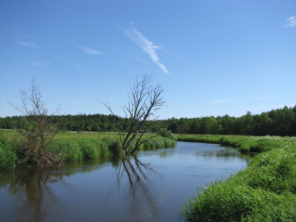 Bobr river