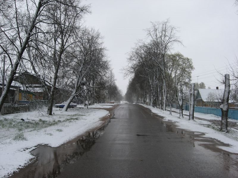 Logoysk, Pobedy str.
