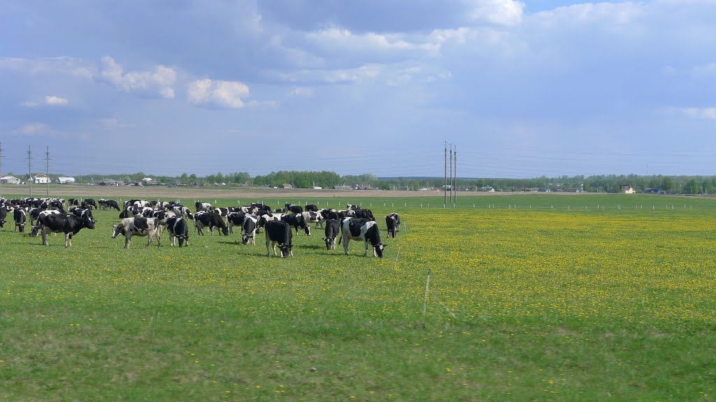 ۞ ۞ ۞ Belarus ۞ ۞ ۞