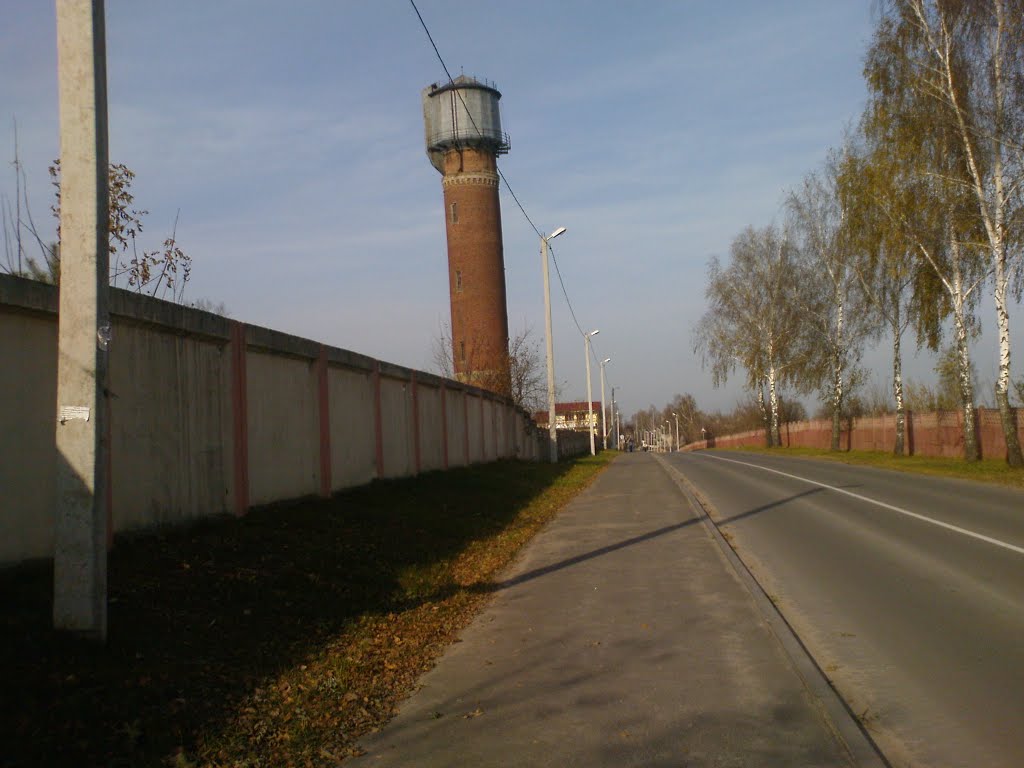 Самая высокая точка Марьиной горки