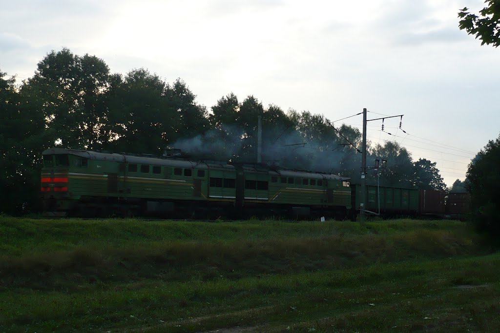 Passing train / Marina Gorka / Belarus