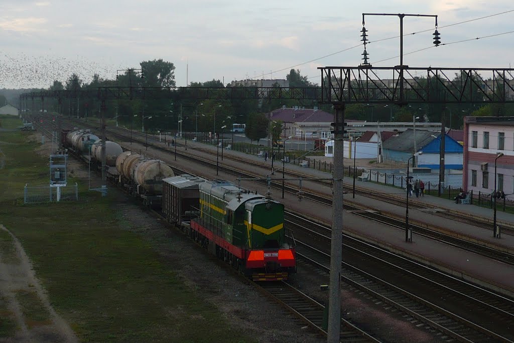 Railroad / Marina Gorka / Belarus