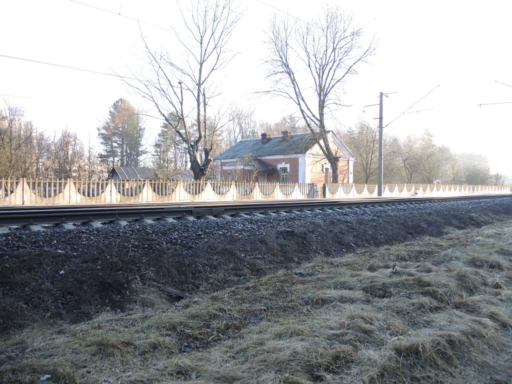 Lyasny