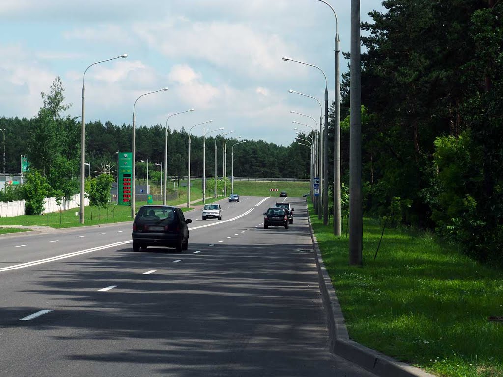 Waupshasova str., Minsk, Belarus, 15.06.2014.