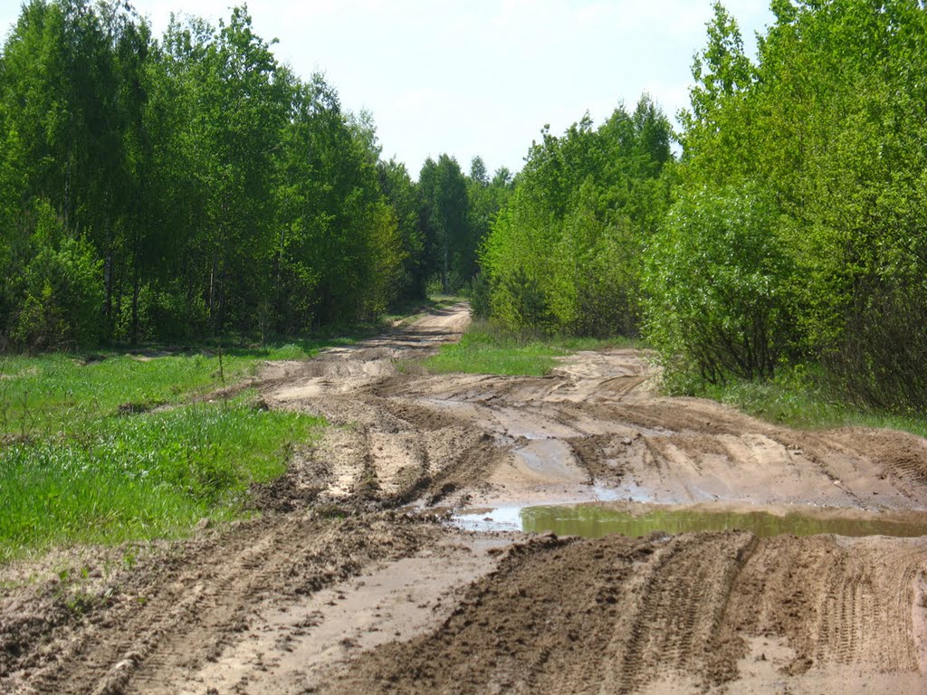 Dirty Road Near Miensk