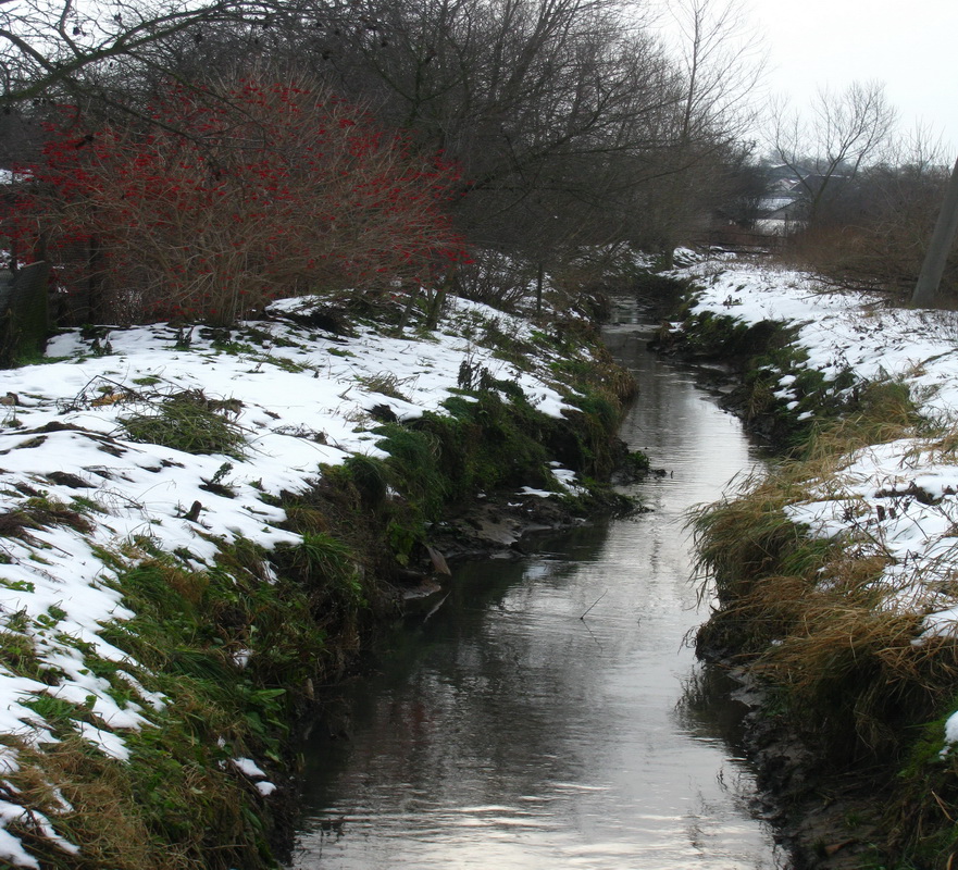 Ручей вдоль железной дороги. Creek along the railway.
