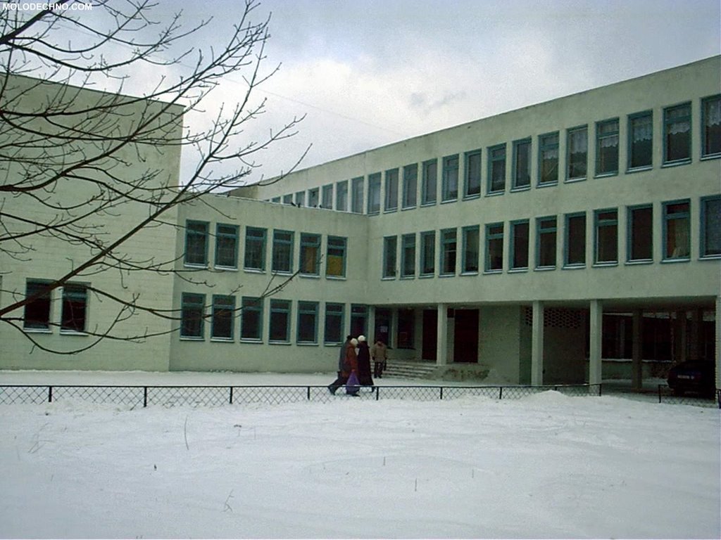 школа №11 school №11