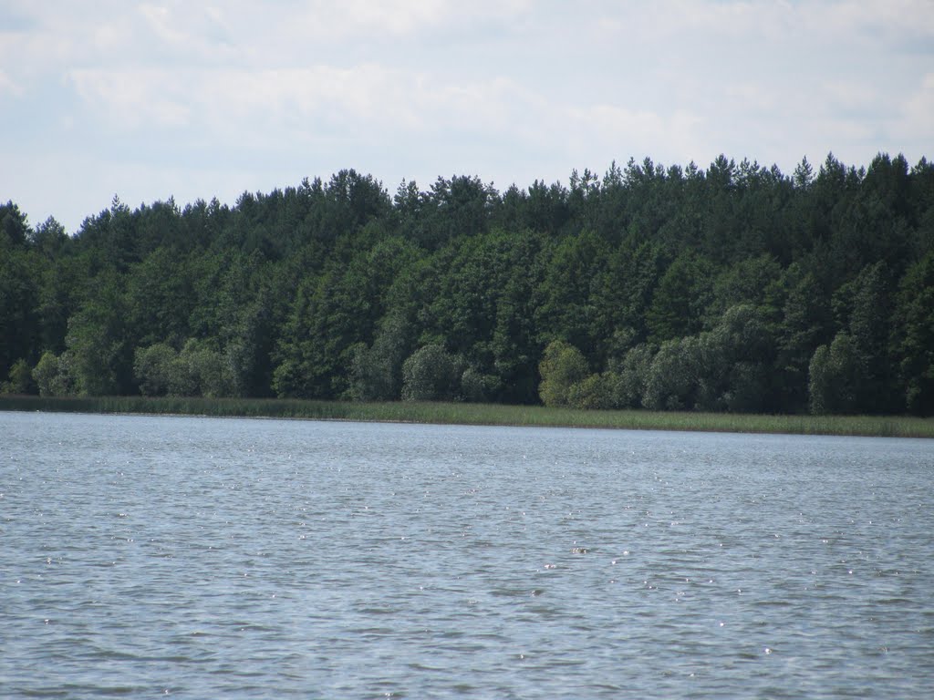 Batoryna lake banks