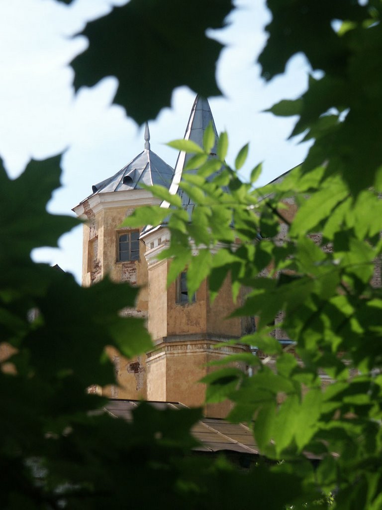 Замок Несвиж - Niasviž Castle