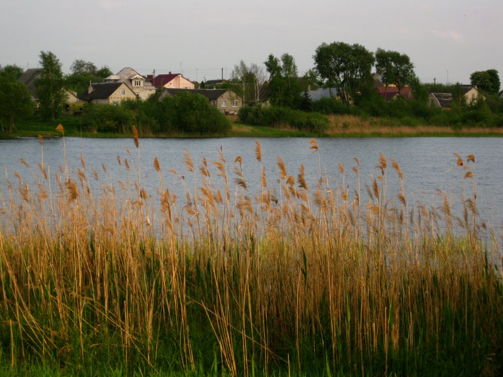 Niasvizh
