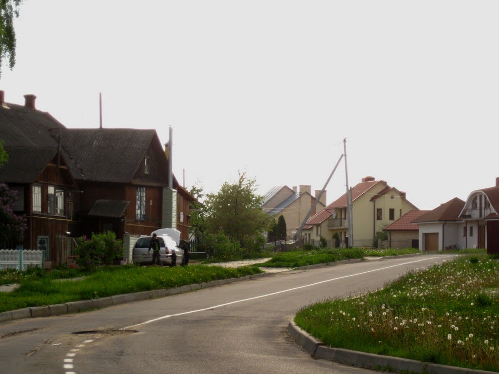 Zialionaya St.