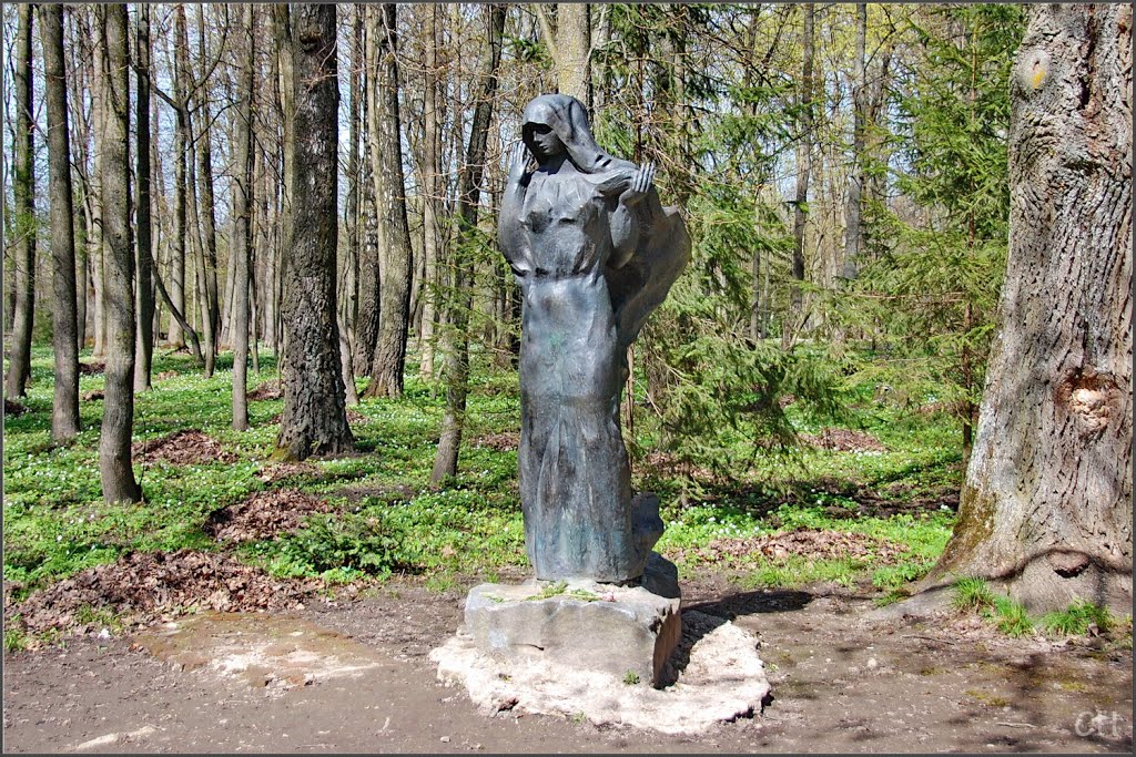 Несвиж. Чёрная пани