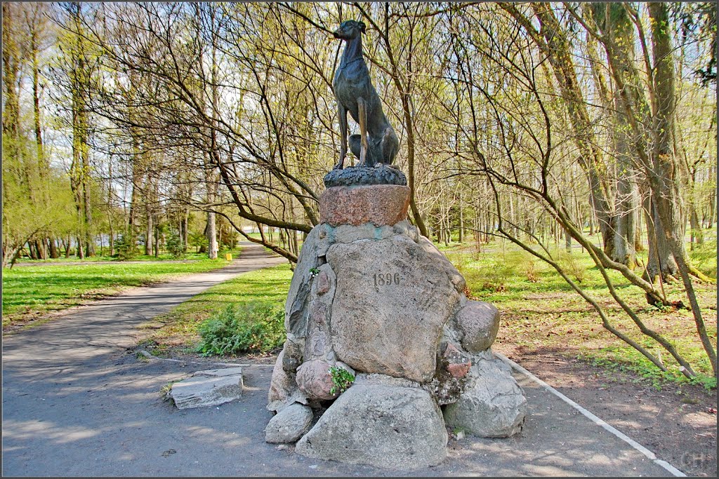 Несвиж. Памятник собаке