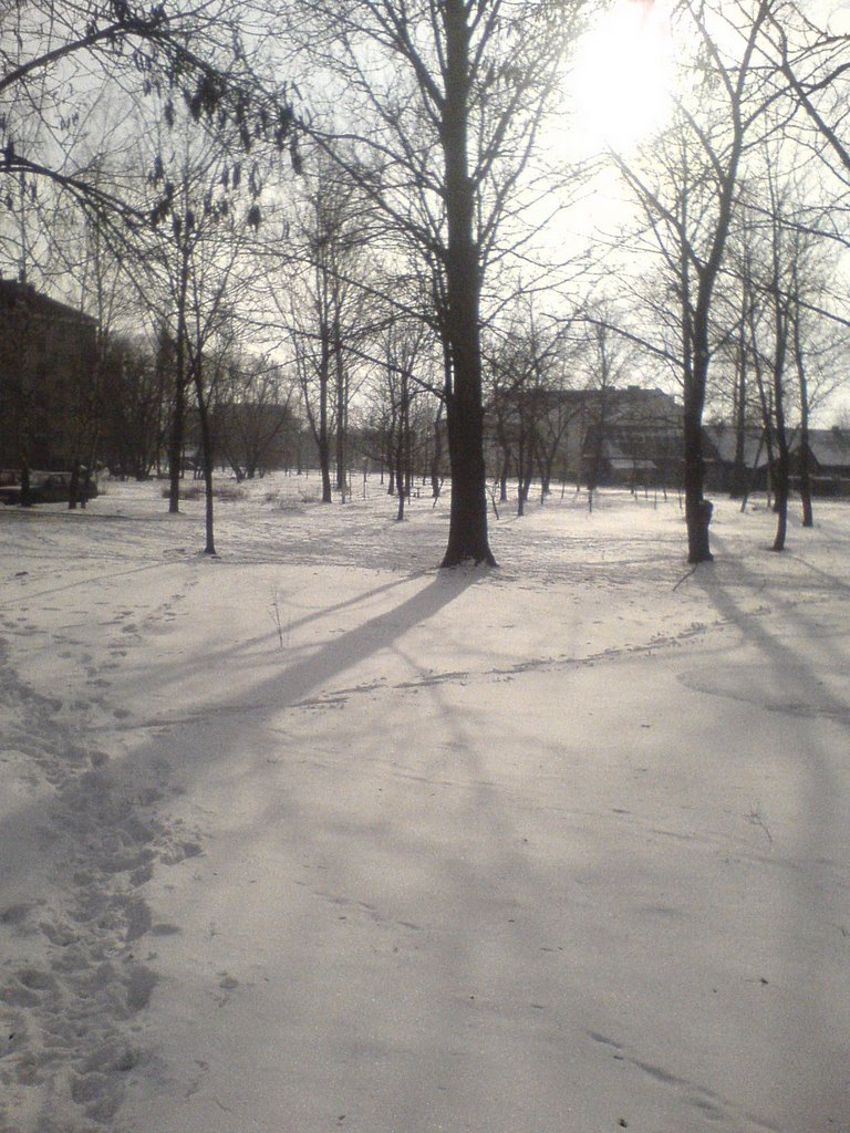 Небольшой парк на Монахова