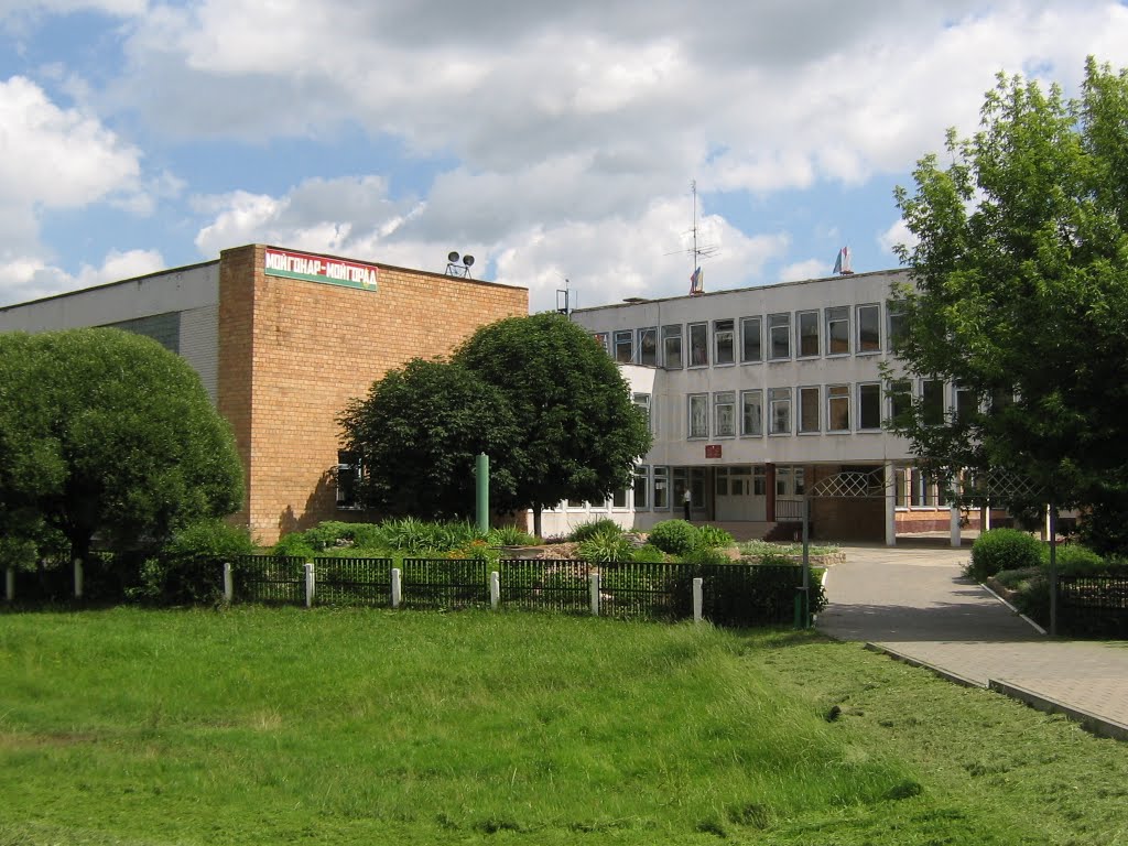 School 11