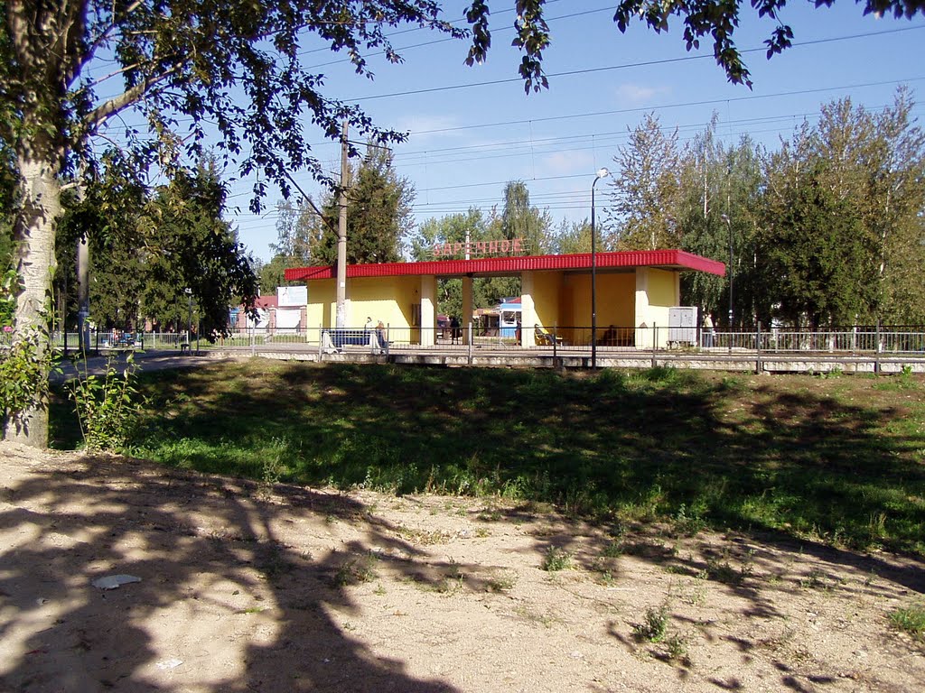Заречное