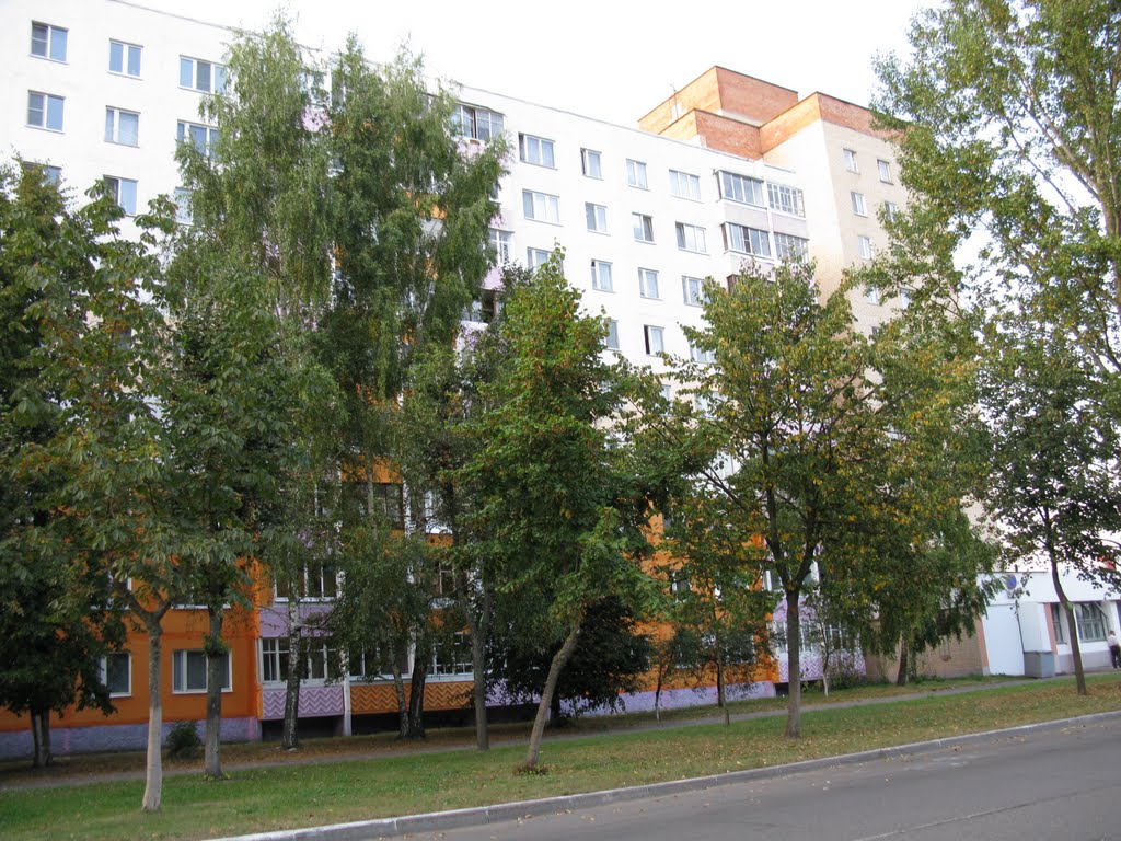 in Lesnaya-street
