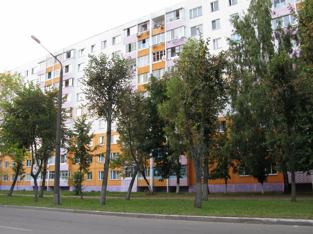 in Lesnaya-street