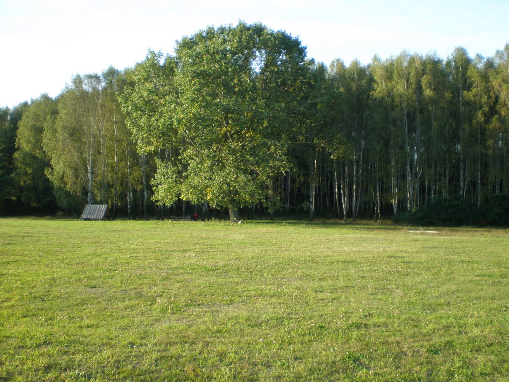 побережье