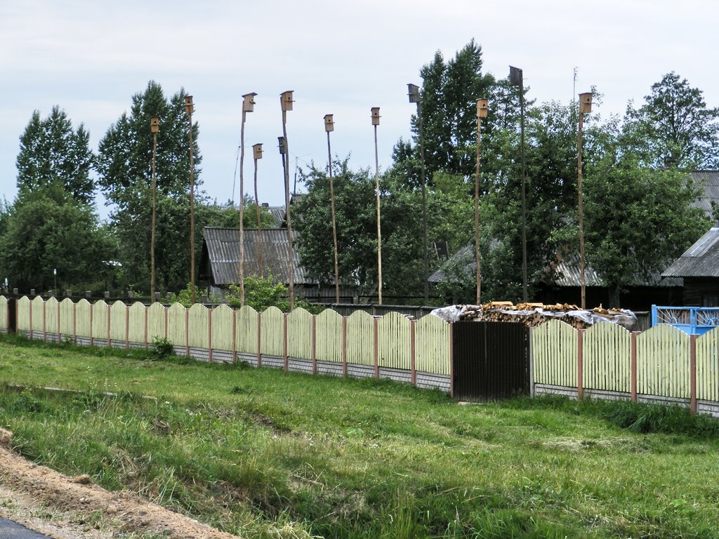 Шпакоўні