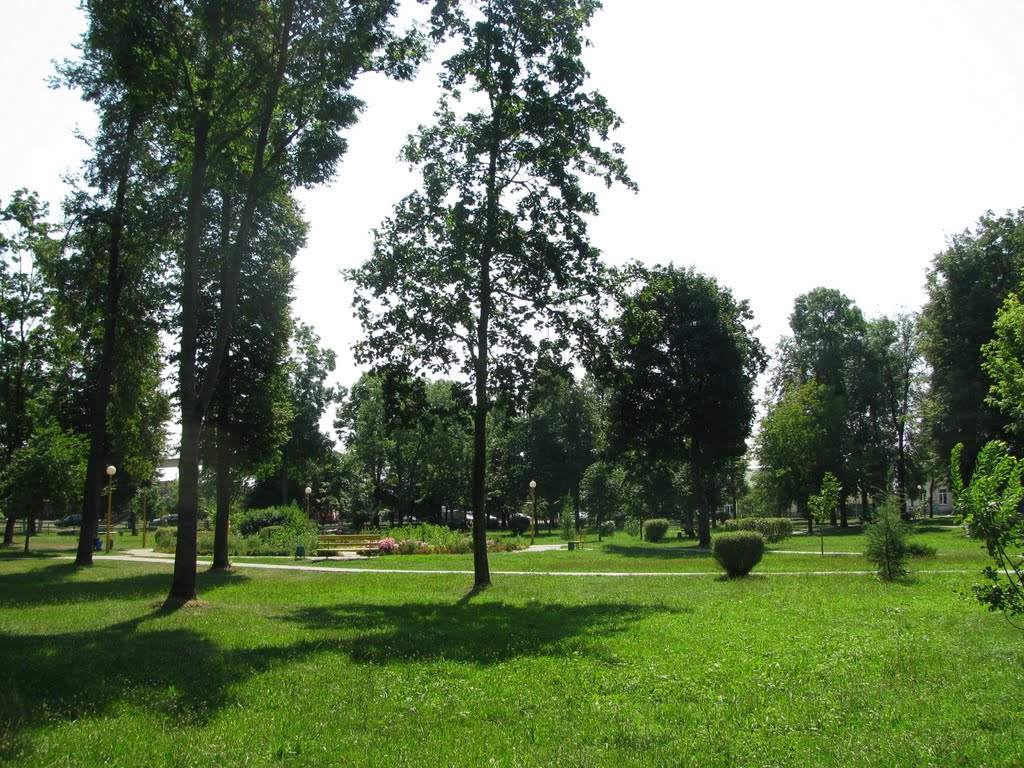 In city park
