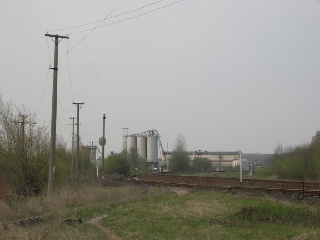 Старые Дороги