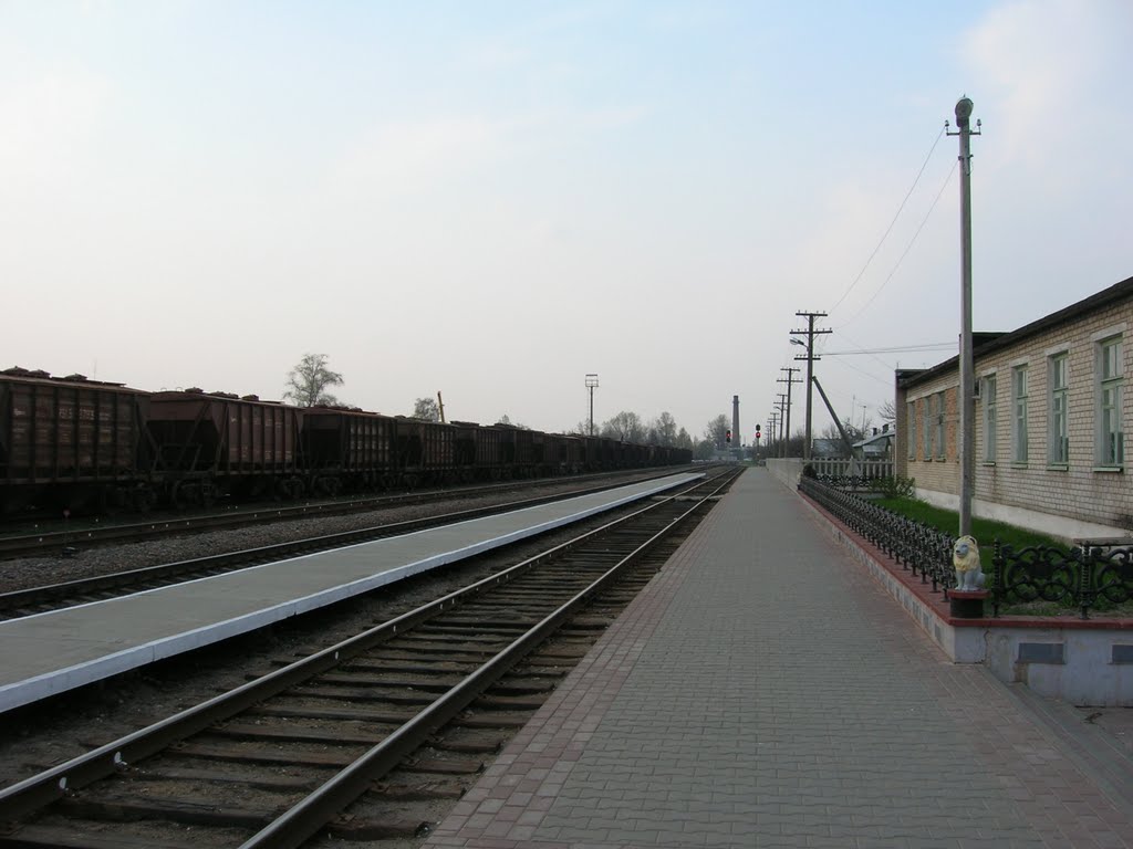 Железнодорожная станция Старые Дороги