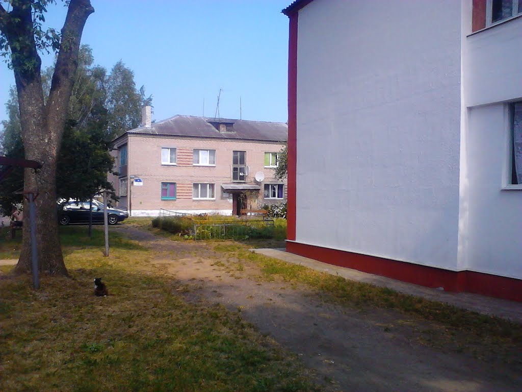 Стаўбцы, двары