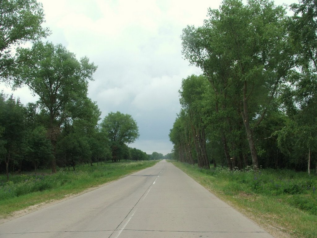 Rural Belarussian road