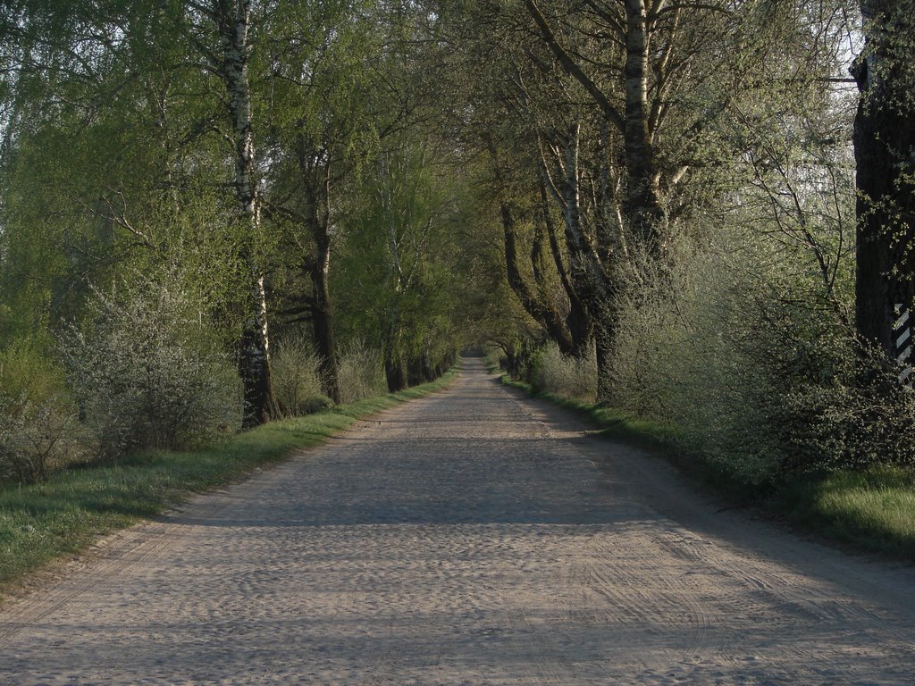 stone road