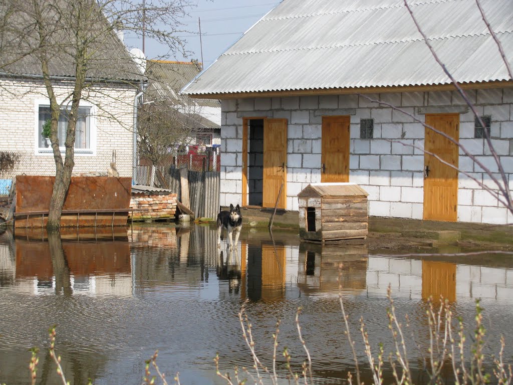 Spring high water in Stoubtsy (2010)